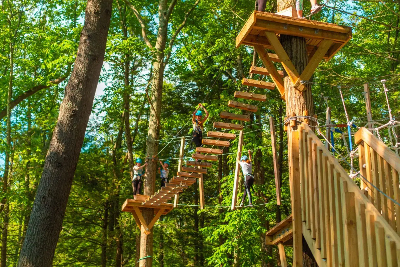 People navigating a high ropes course among tall trees.